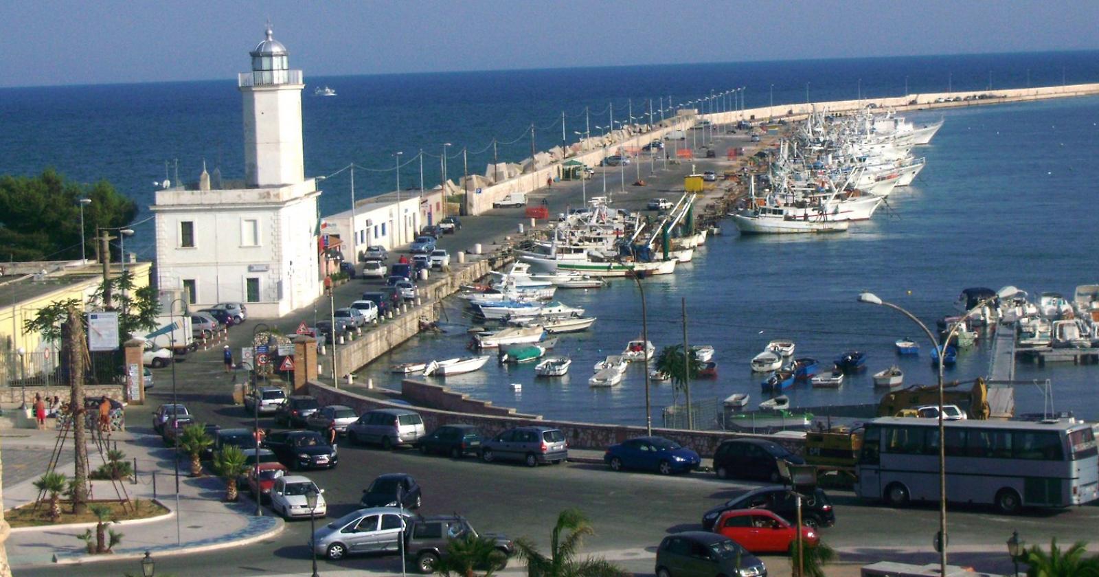 Il porto di Manfredonia diventa approdo per le merci da sottoporre ai controlli fitosanitari
