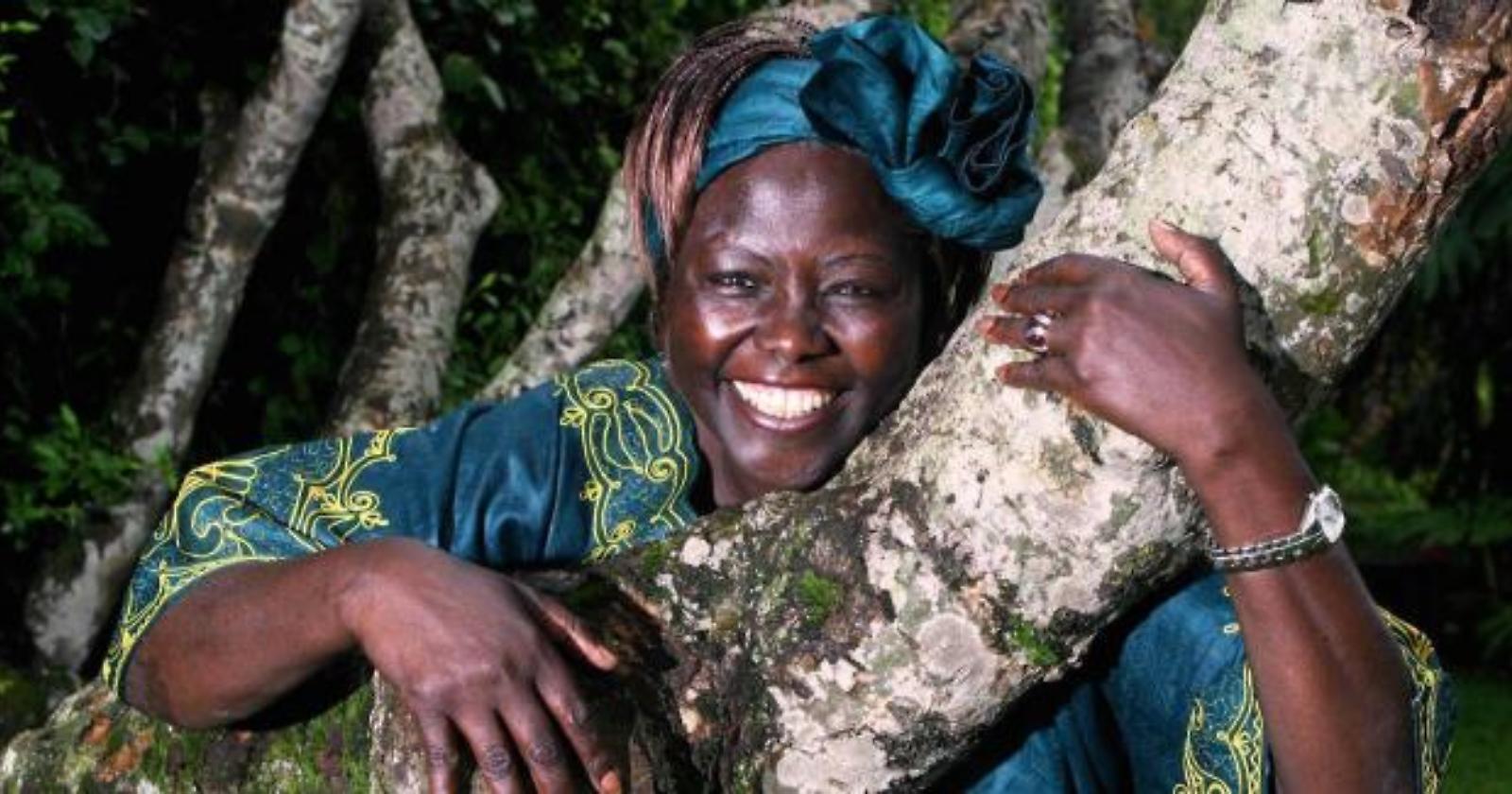 Premio Ambiente Wangari Maathai a Isabella Abate