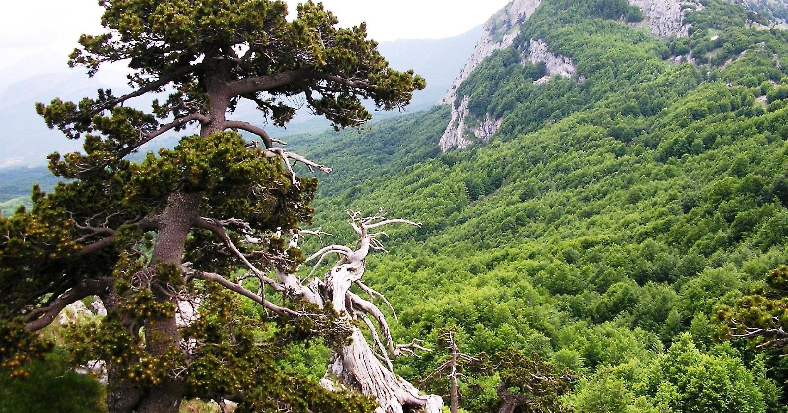 Turismo, la Basilicata investe su quattro attrazioni a contatto con la natura