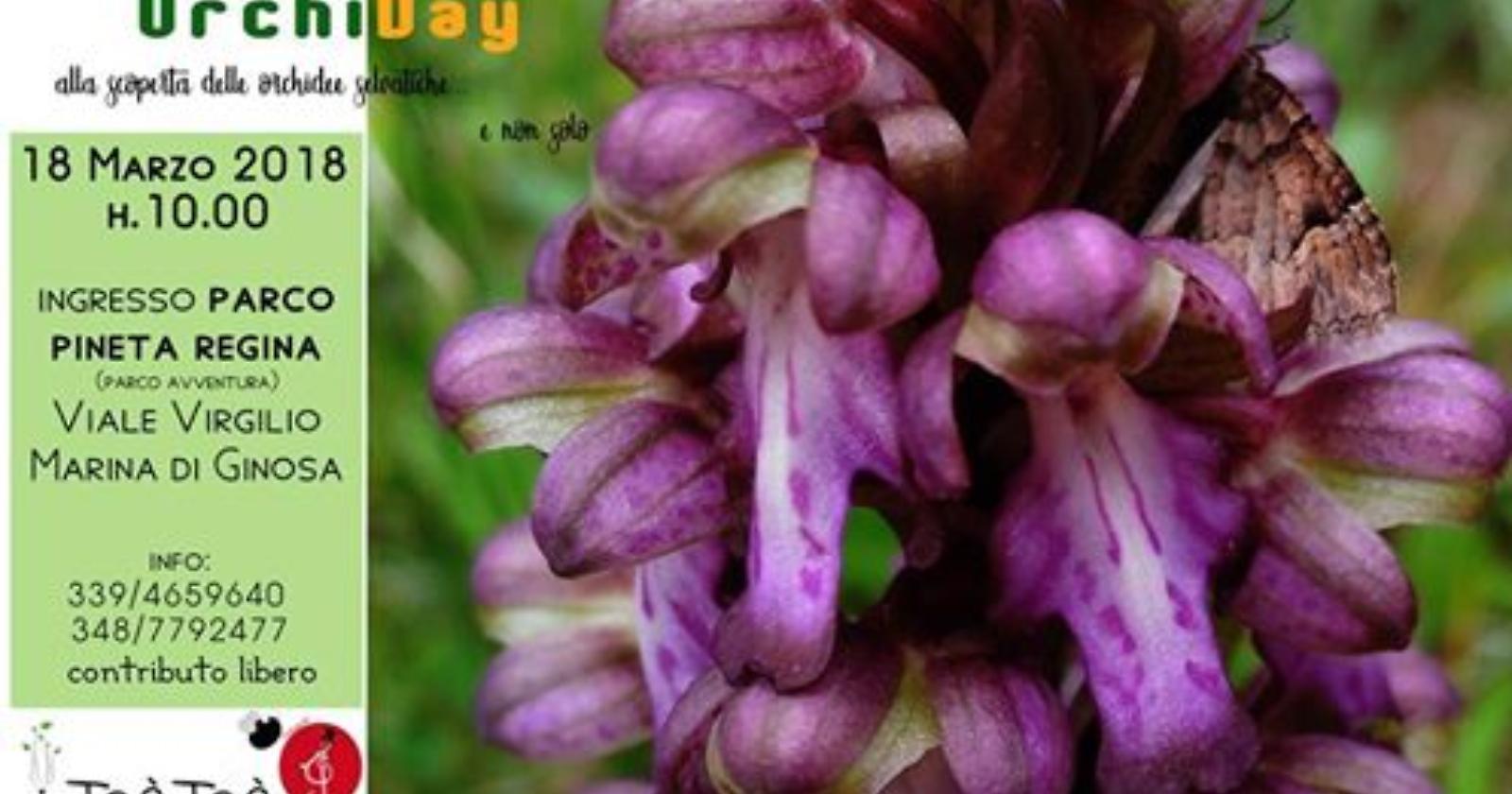 A due passi da Metaponto l'OrchiDay: alla scoperta delle orchidee selvatiche