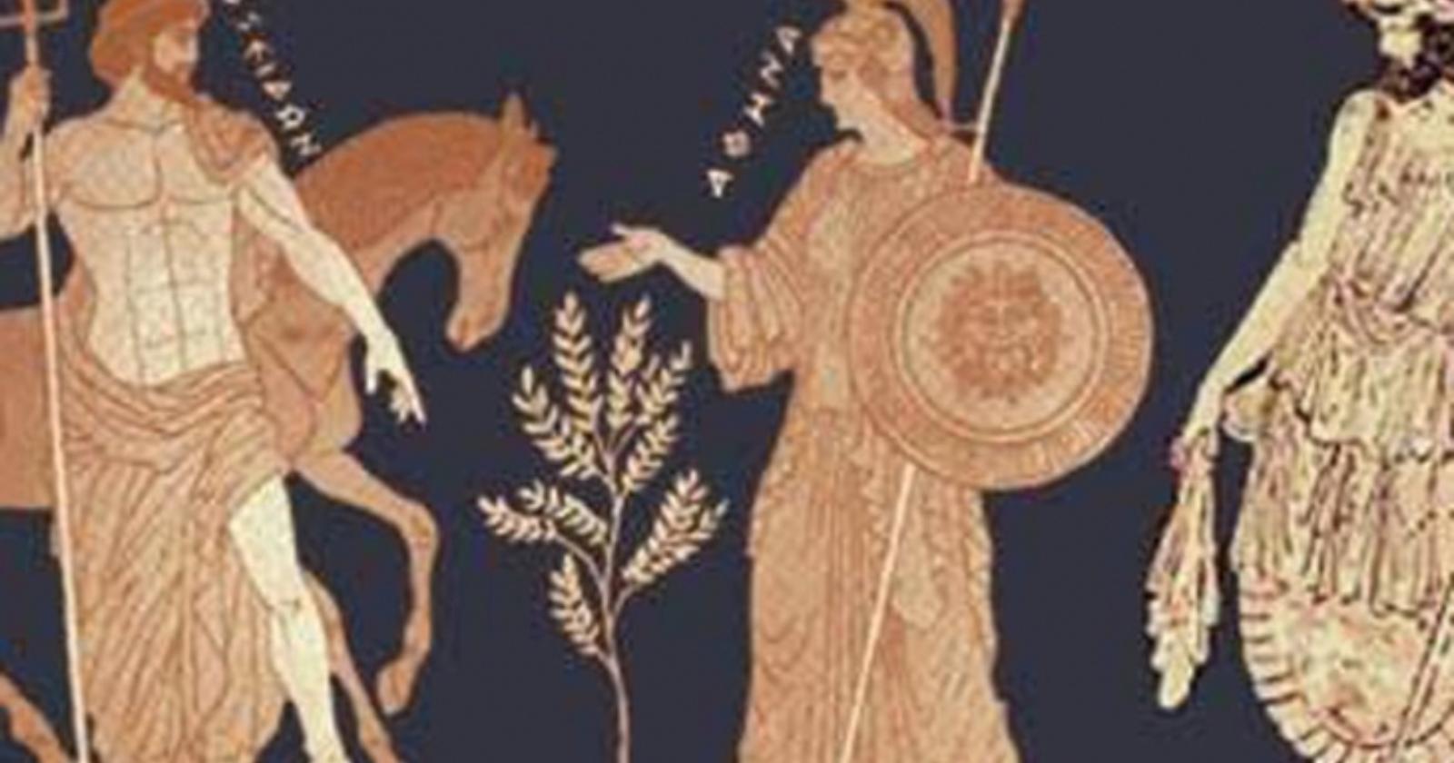Ulivo simbolo divino? Sì, della dea Pax e di Atena