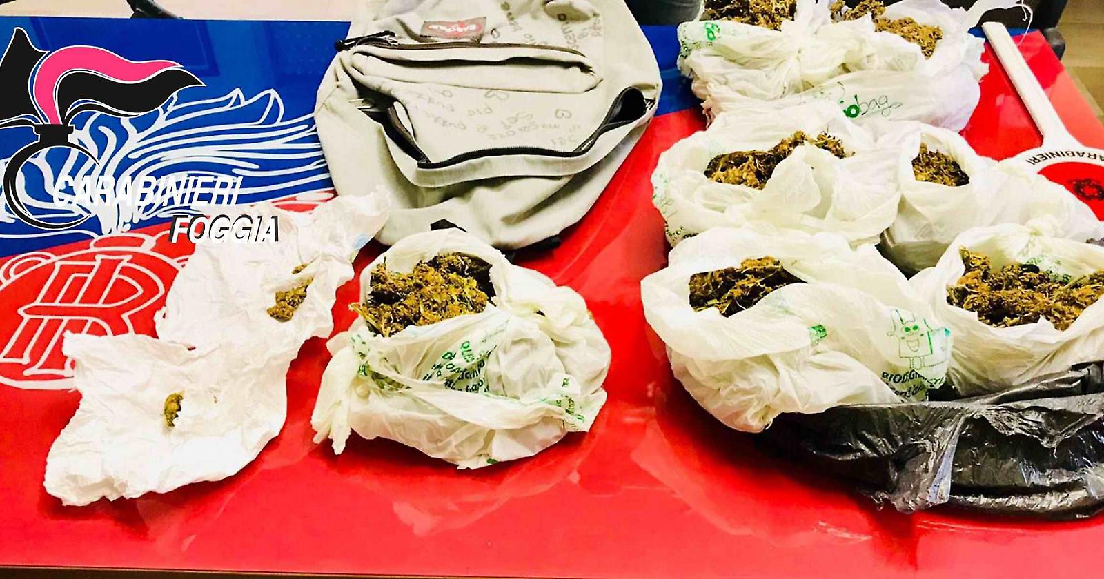 Vieste, in casa nascondeva quasi un chilo di marijuana: arrestato 19enne