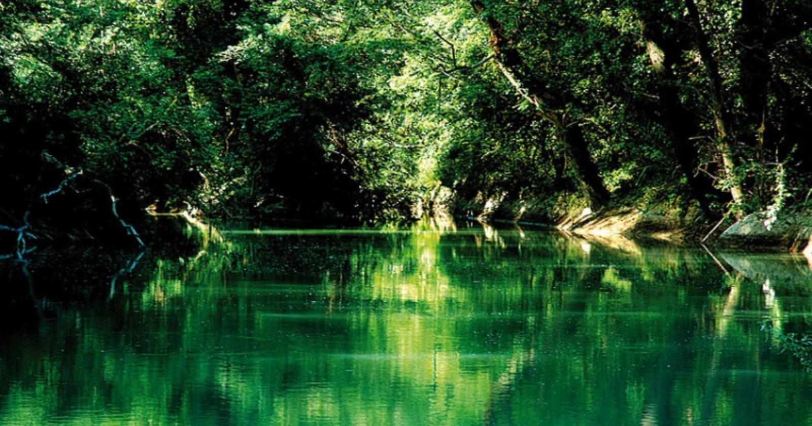 Parco Incoronata, al Comune di Foggia 170 mila euro per "fare spazio" al fiume Cervaro