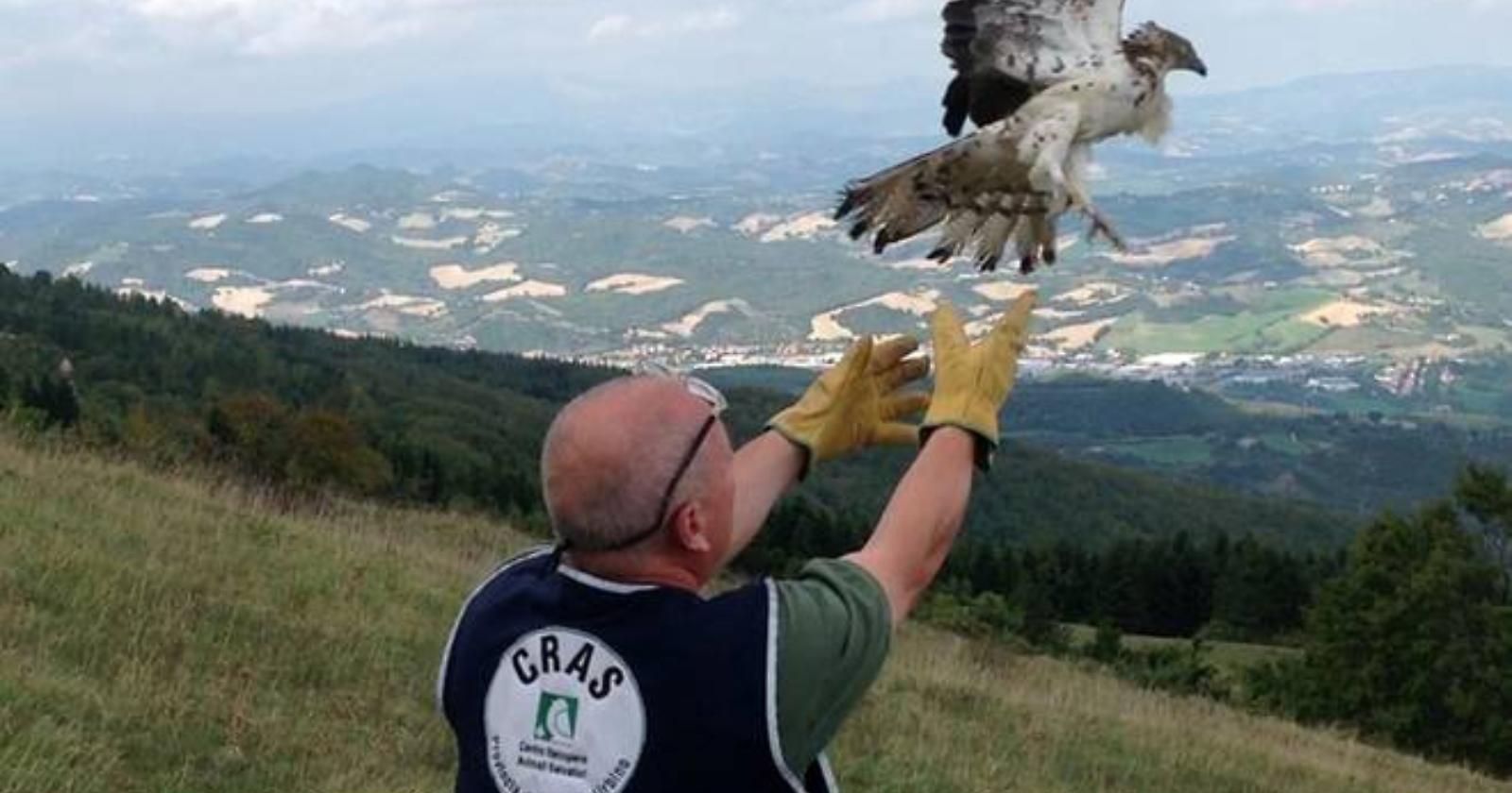 Centri di recupero animali selvatici, accordato il sostegno della Regione Basilicata