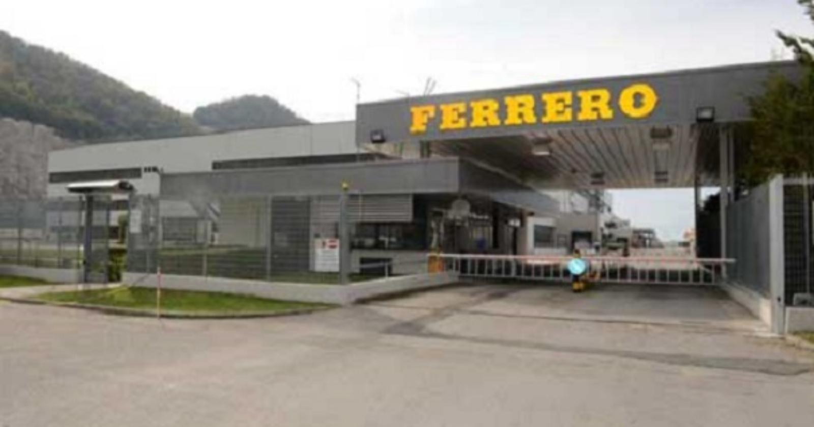 La Ferrero fa incetta di nocciole della Basilicata: il 75% per i prossimi vent'anni