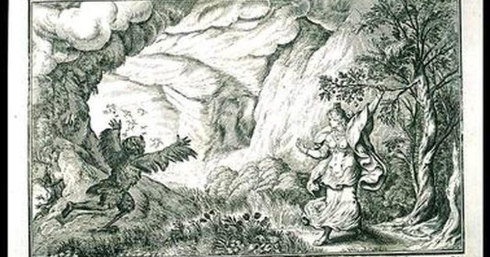 Cornacchia e Civetta, da simboli di buon auspicio a uccelli forieri di morte