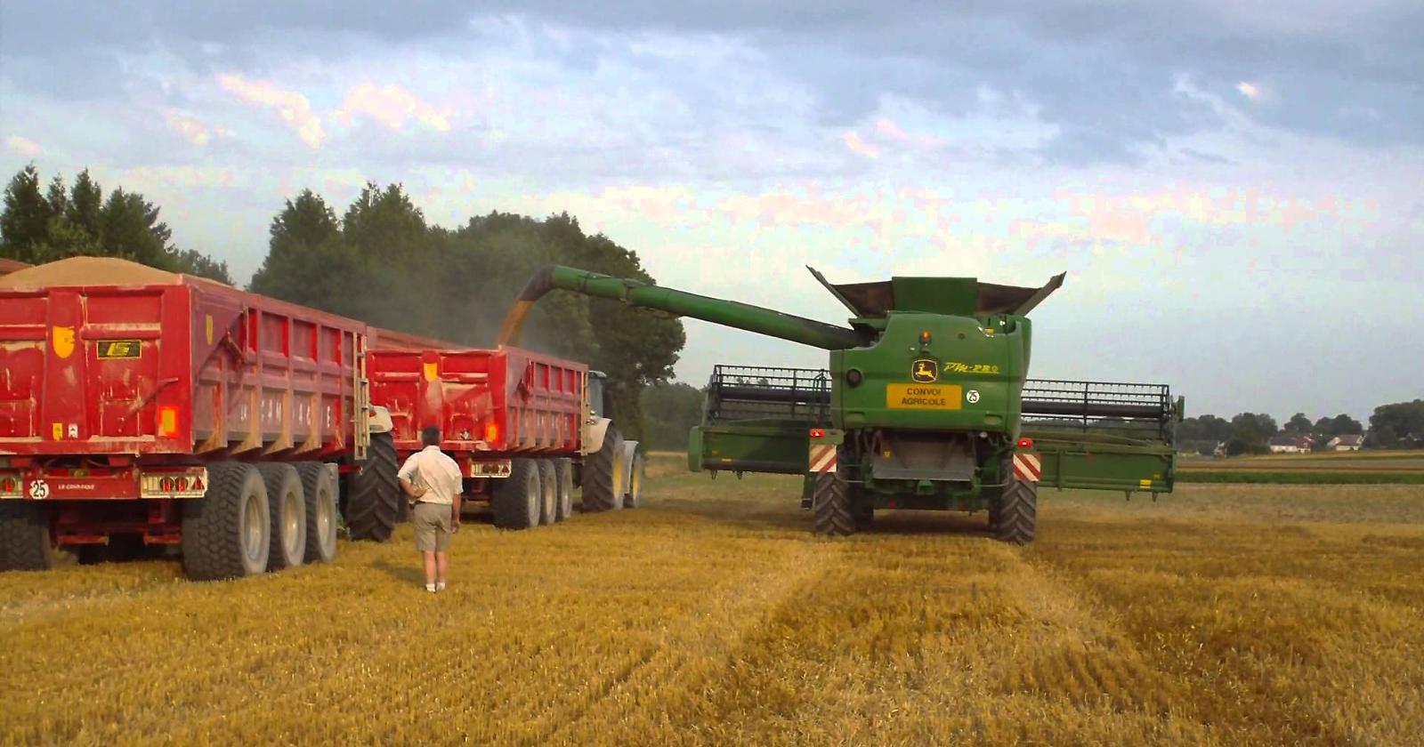 Crolla (finalmente) l'importazione di grano in Puglia e Coldiretti invoca la Con a Foggia