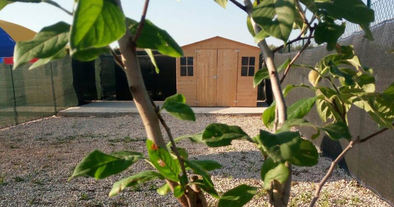 A Cerignola nasce l'asilo per cani e una scuola d'amore verso gli animali per gli umani