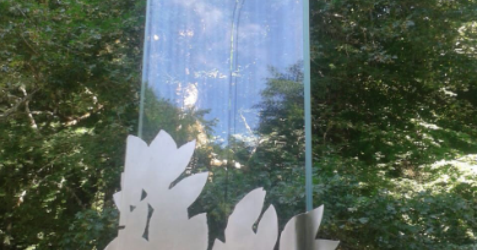 Foresta Umbra, vandalizzata stele UNESCO ad un anno dal riconoscimento