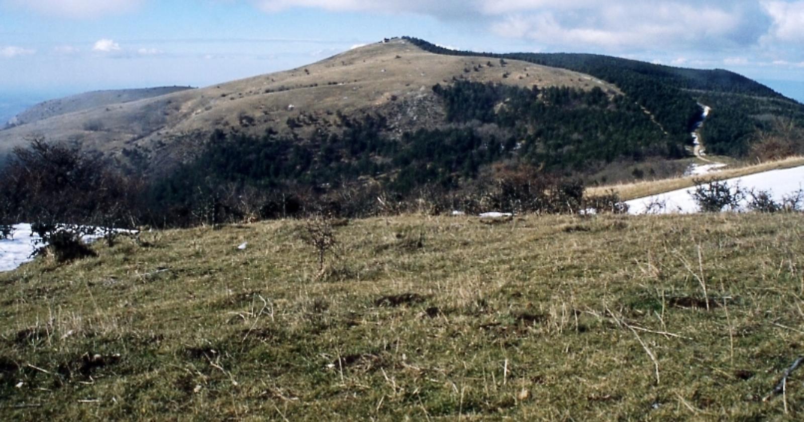 Tu metti una sera sotto le stelle con la Lipu, su Monte Cornacchia