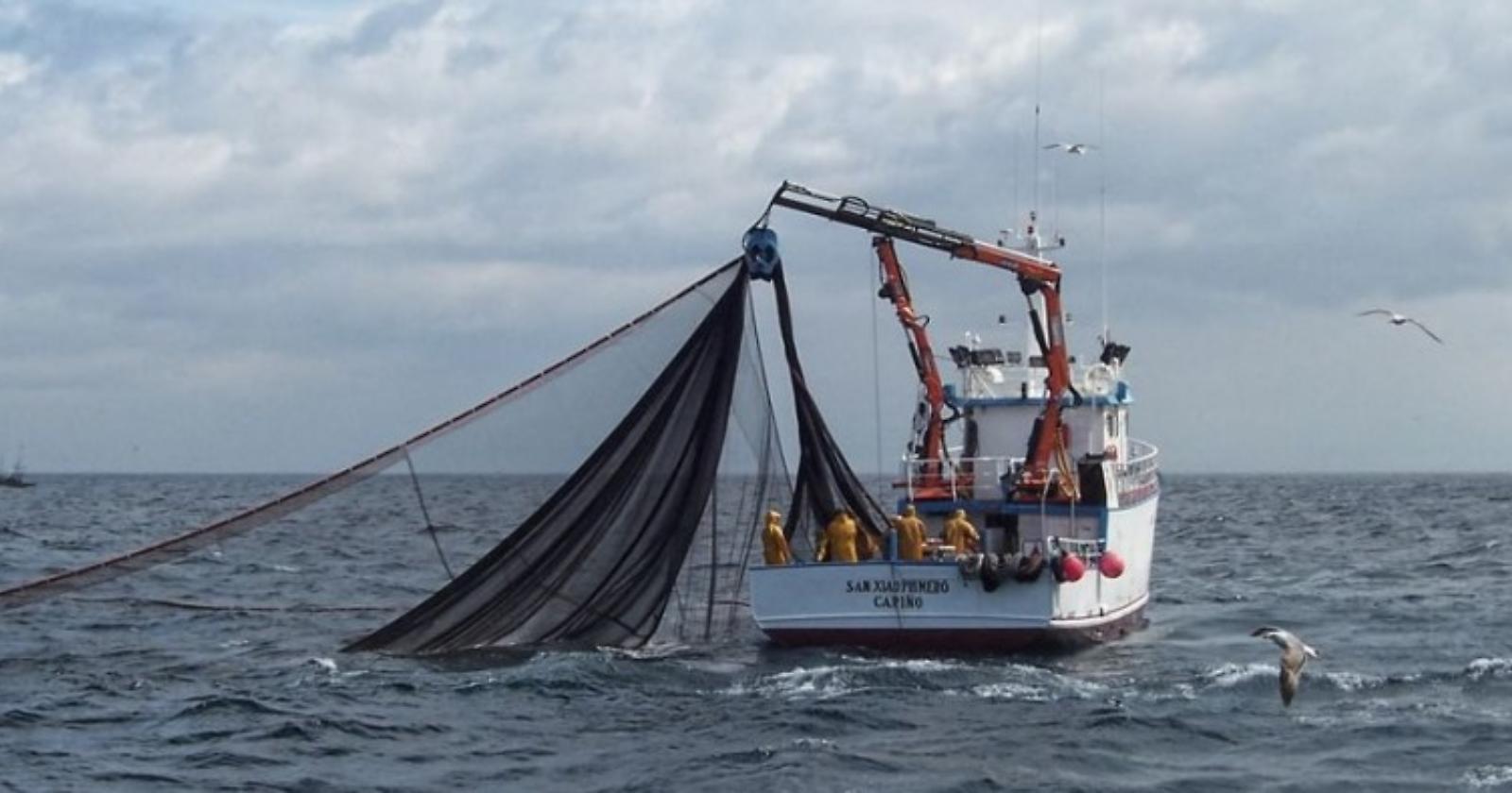 Da domani stop al pesce fresco da San Benedetto a Termoli e da Manfredonia a Bari
