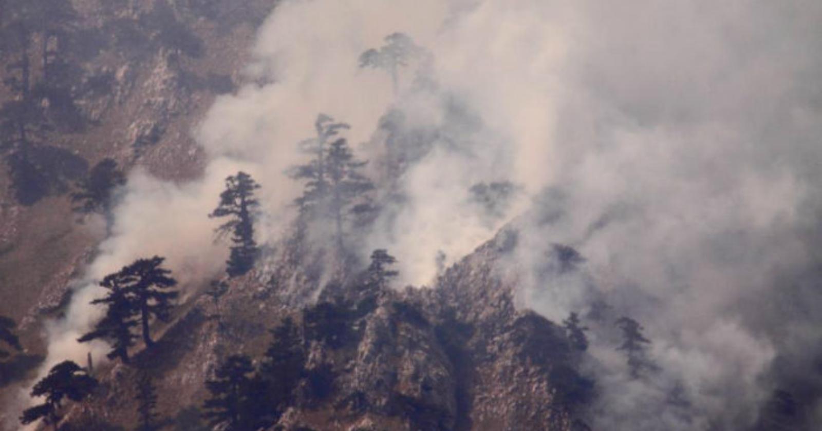 Denunciato il piromane del Pollino: ha appiccato undici incendi solo lo scorso anno
