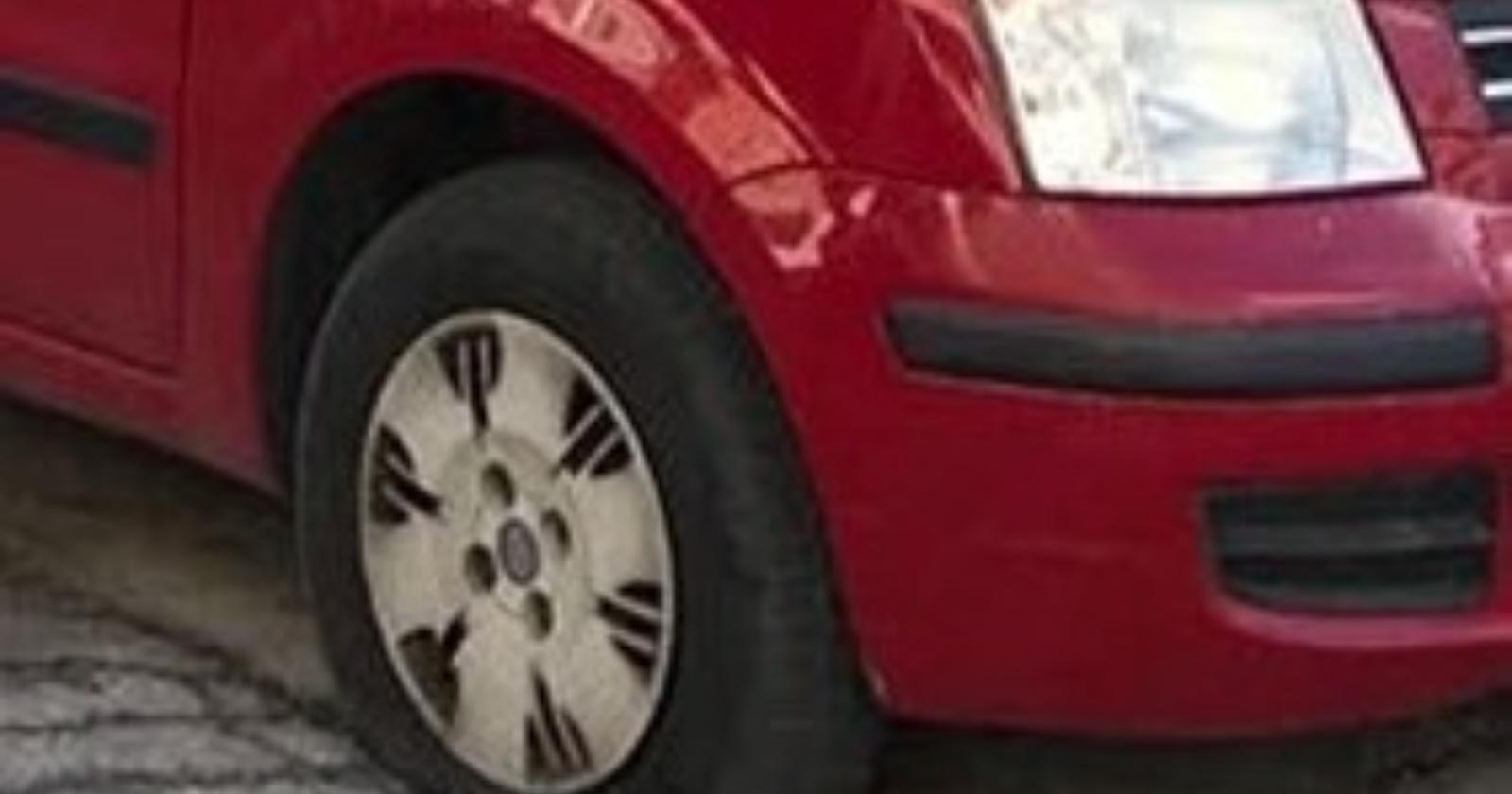 Manfredonia, intimidazione al responsabile del canile. Per Enpa potrebbe essere ritorsione