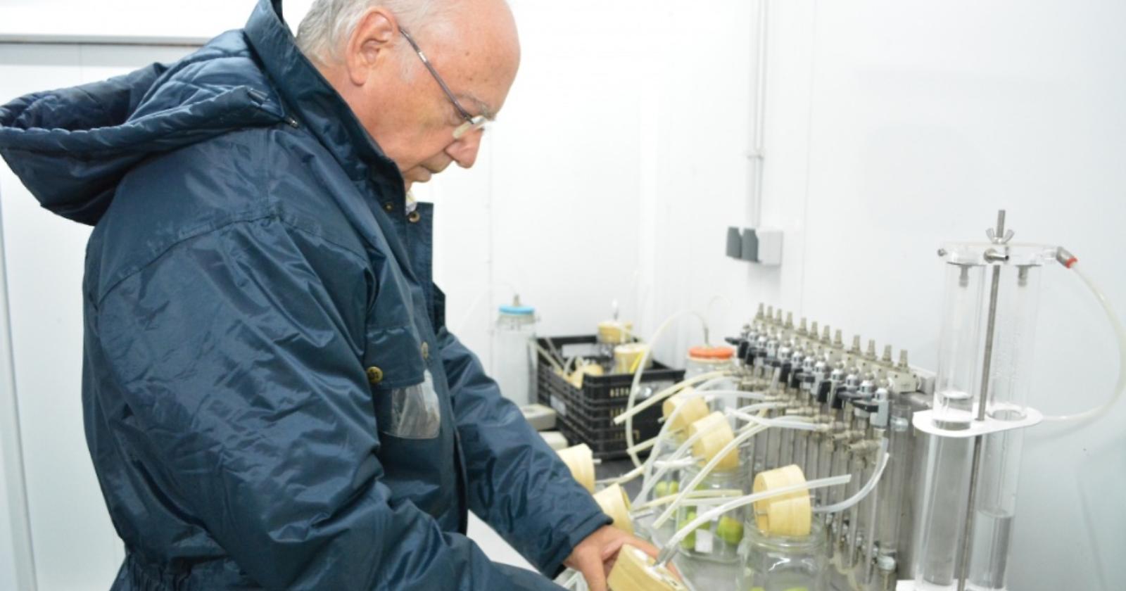 Laurea UniFg "honoris causa" allo scienziato Francisco Artés: la notizia fa il giro del mondo accademico spagnolo