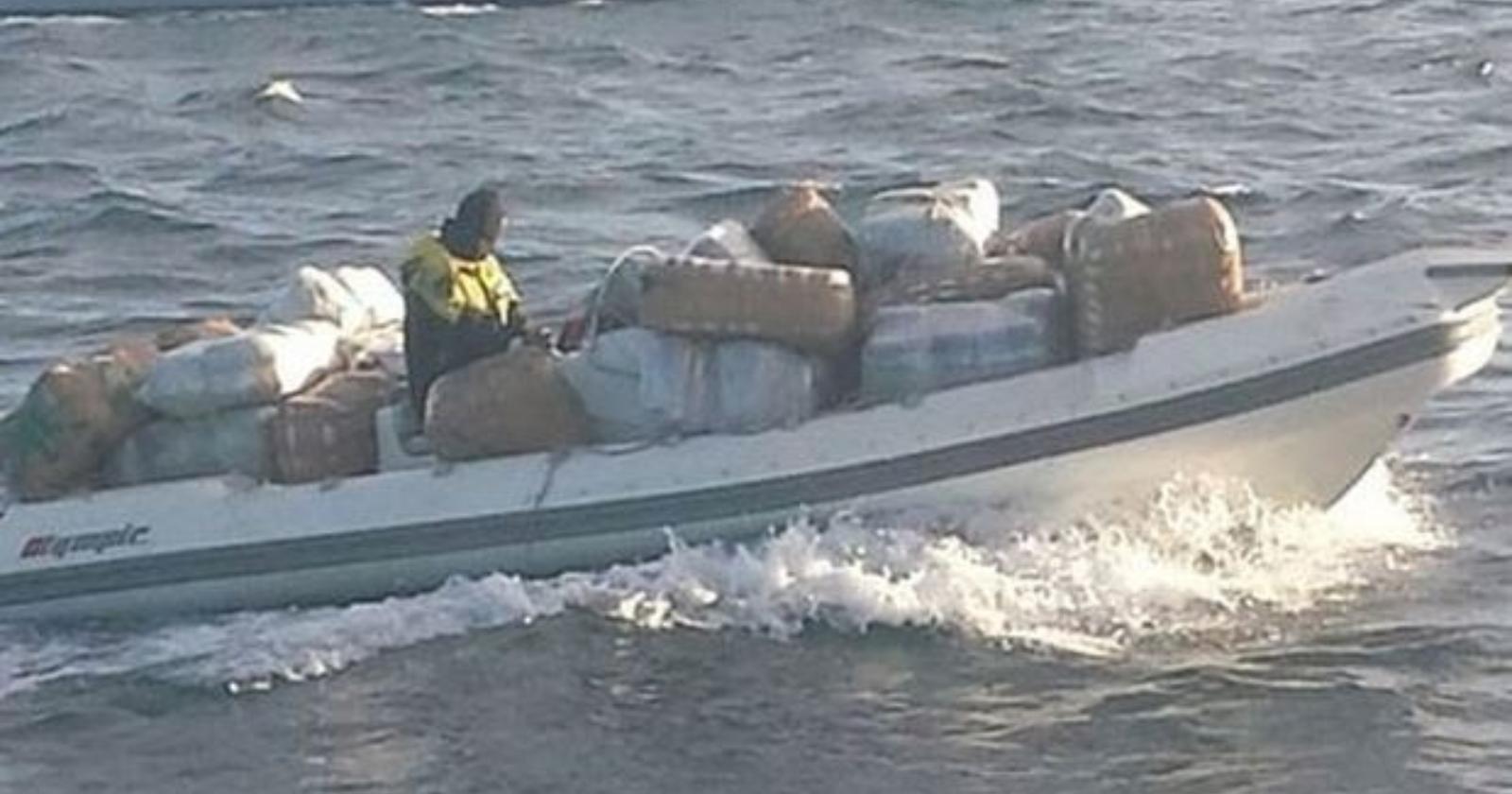 Vieste, sequestrate due tonnellate di marijuana: due arresti