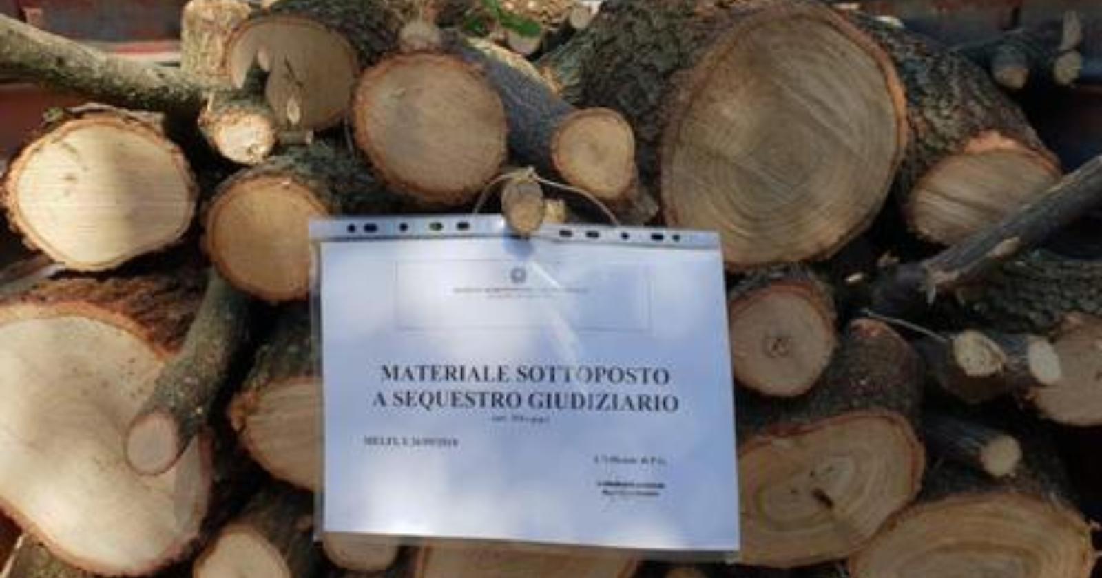 Rapolla, taglia piante quercine. denunciato 69enne