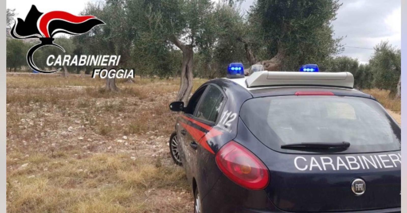 Furti nelle campagne: sei arresti 