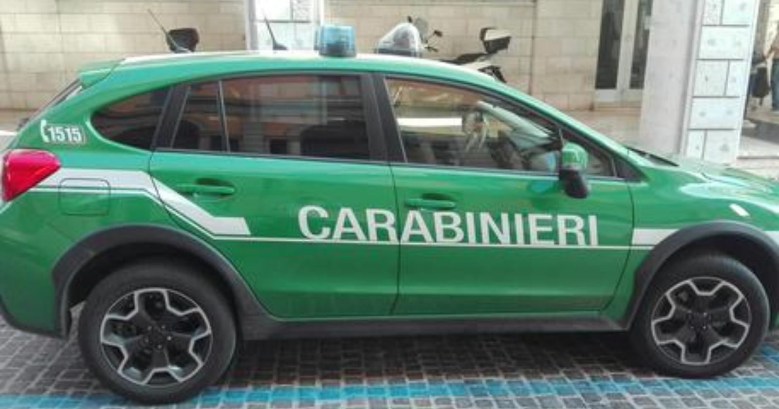 Scanzano Jonico, versamento illecito di liquami in area protetta: 2 denunce