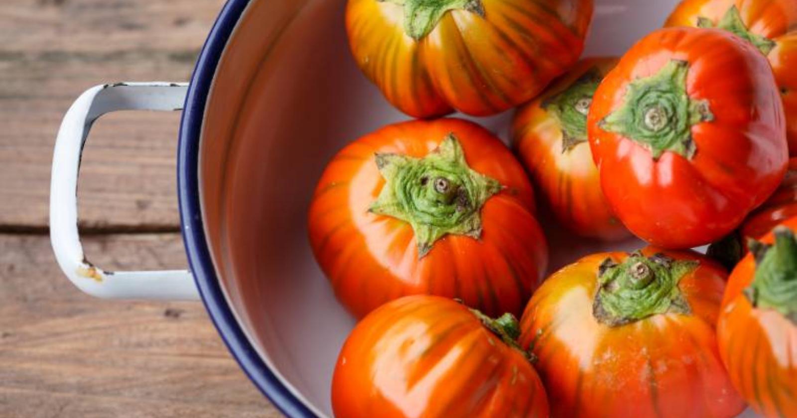 Melanzana rossa Dop, a Rotonda la "Festa di fine raccolto"