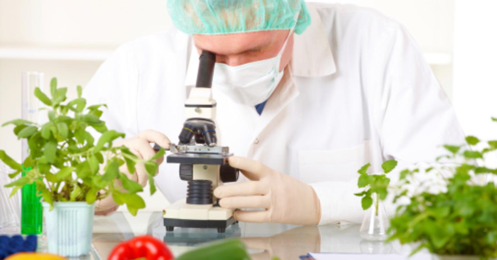 Ordine Tecnologi Alimentari di Basilicata e Calabria, insediato il nuovo Consiglio