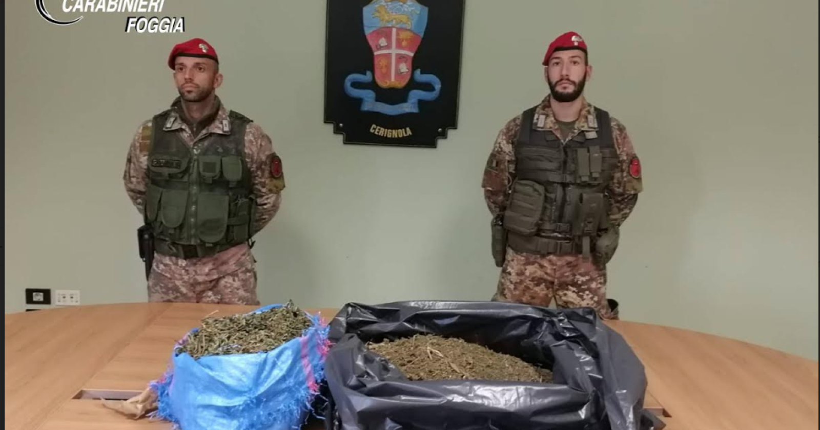 Cerignola, otto chili e mezzo di "maria" nascosti nella masseria di famiglia: arrestati madre e figlio 