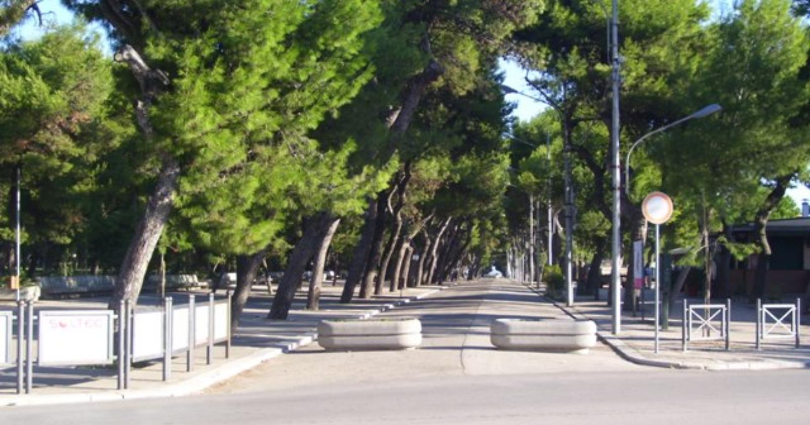 Torremaggiore: il Comune sottoscrive convenzione con le Guardie Ambientali d’Italia per la tutela degli animali domestici