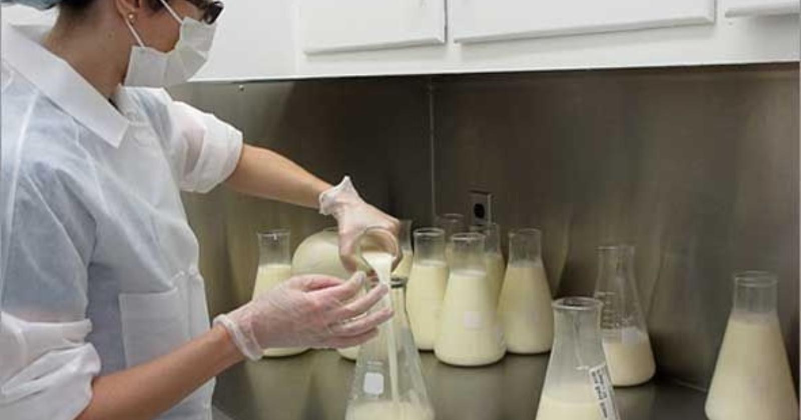In Basilicata nasce la banca del latte umano