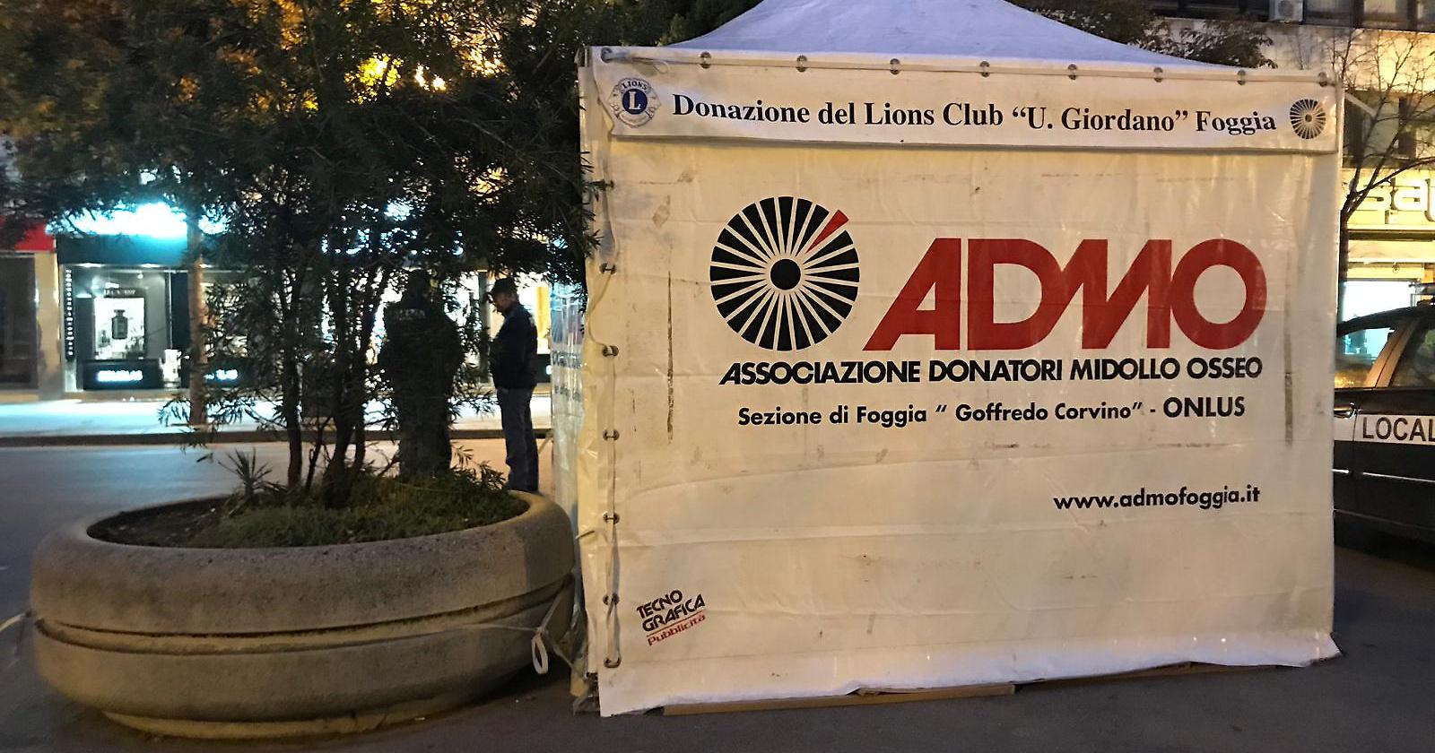 A Foggia c'è un panettone buono che vi aspetta e vale una vita: quello dell'ADMO