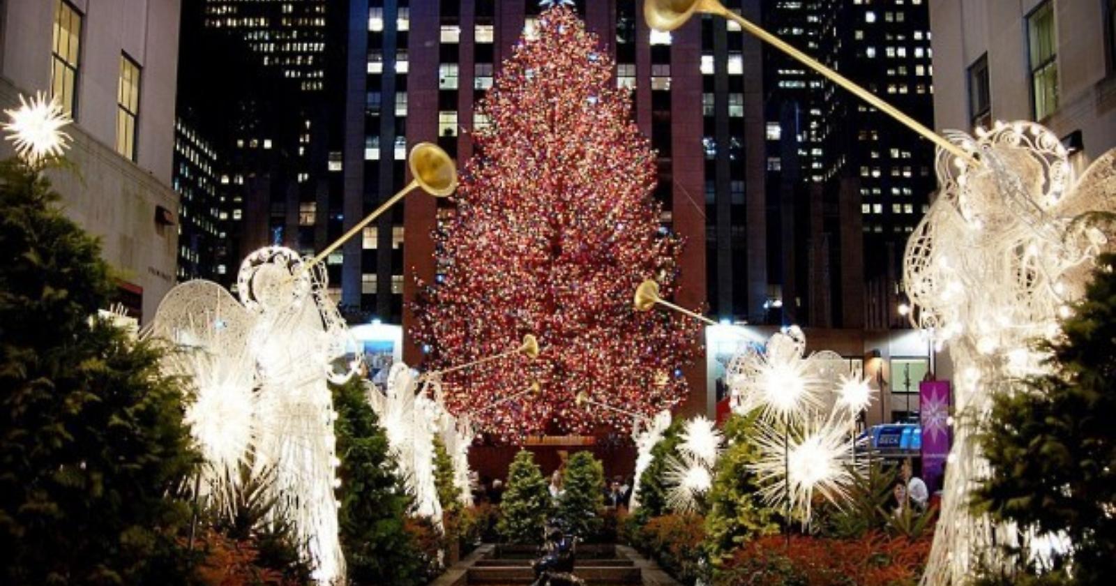 L’albero di Natale? Una tradizione greca legata ad Apollo