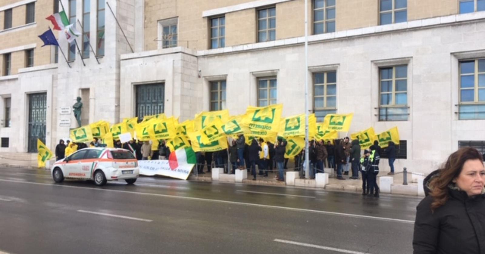 Olivicoltura, persi 317 milioni nel 2018: Coldiretti protesta contro Regione e Governo