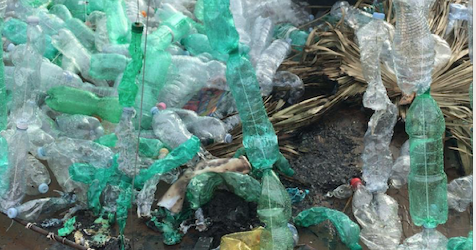 Carapelle, danno fuoco all'albero di Natale ecologico