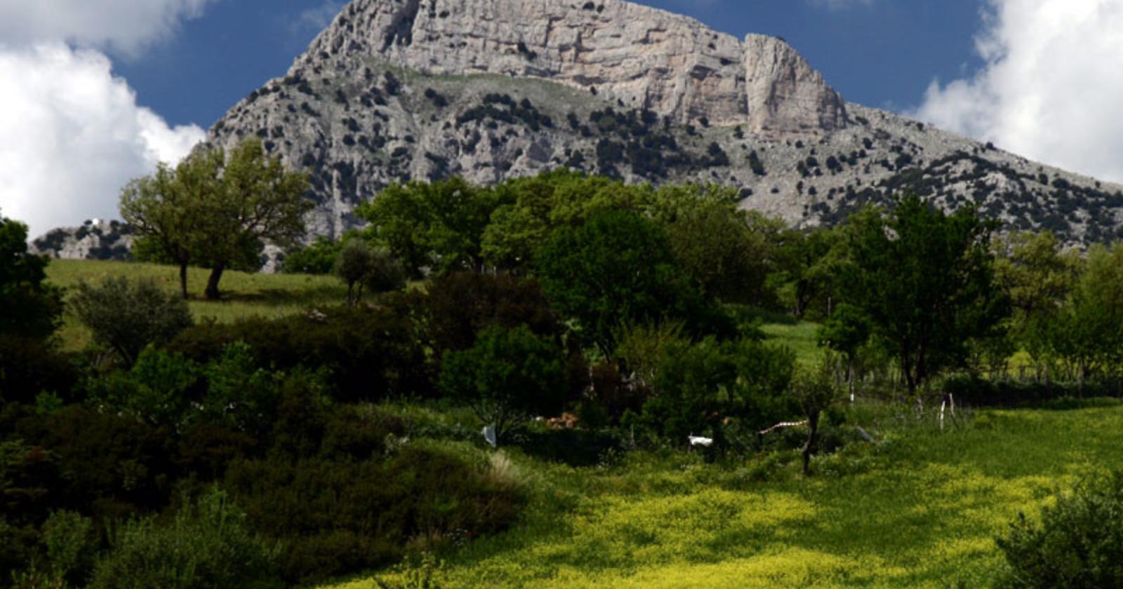 Parco del Pollino, approvati investimenti per 5 milioni di euro