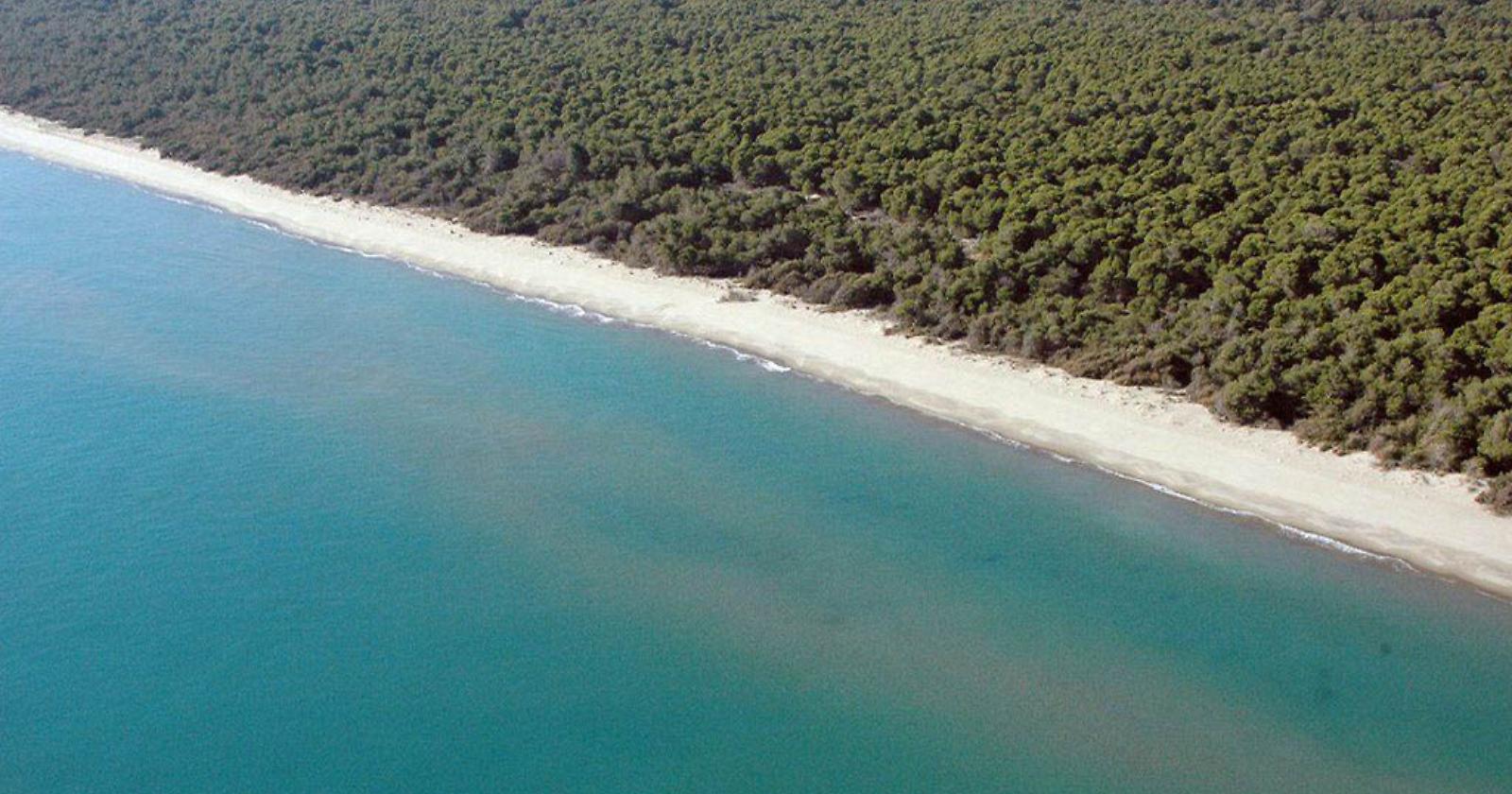 Istituita "Mare Magna Grecia", la prima area protetta dello Jonio
