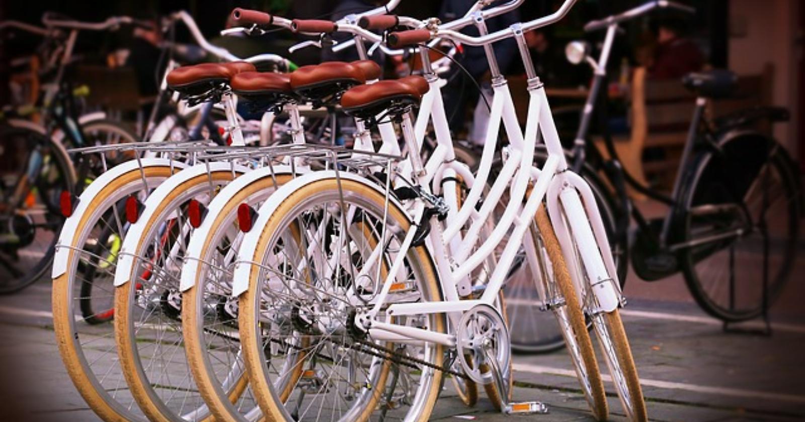 Passeggiando in bicicletta