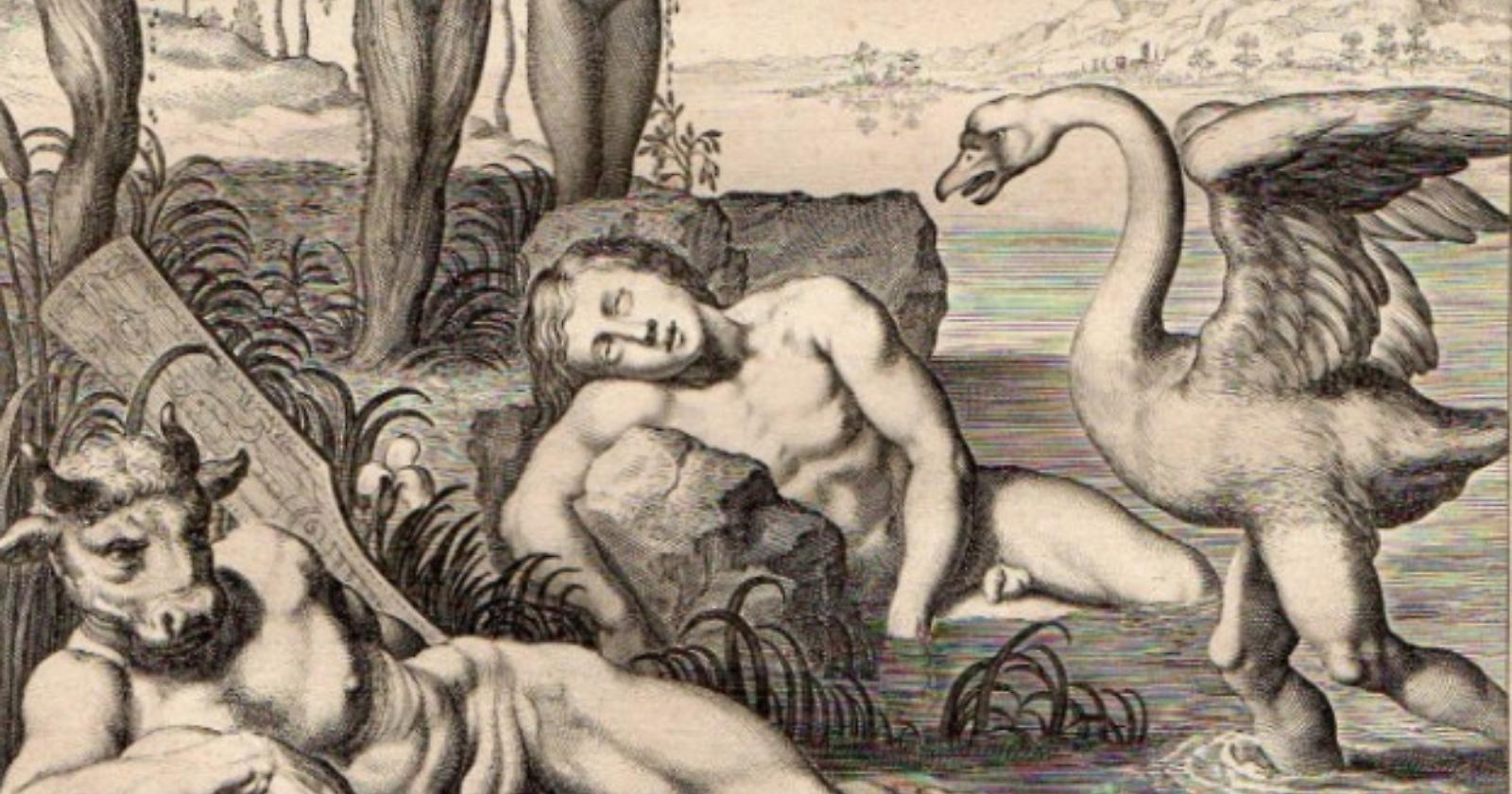 Da dove ha origine il nobile cigno? La storia di Cicno figlio di Poseidone