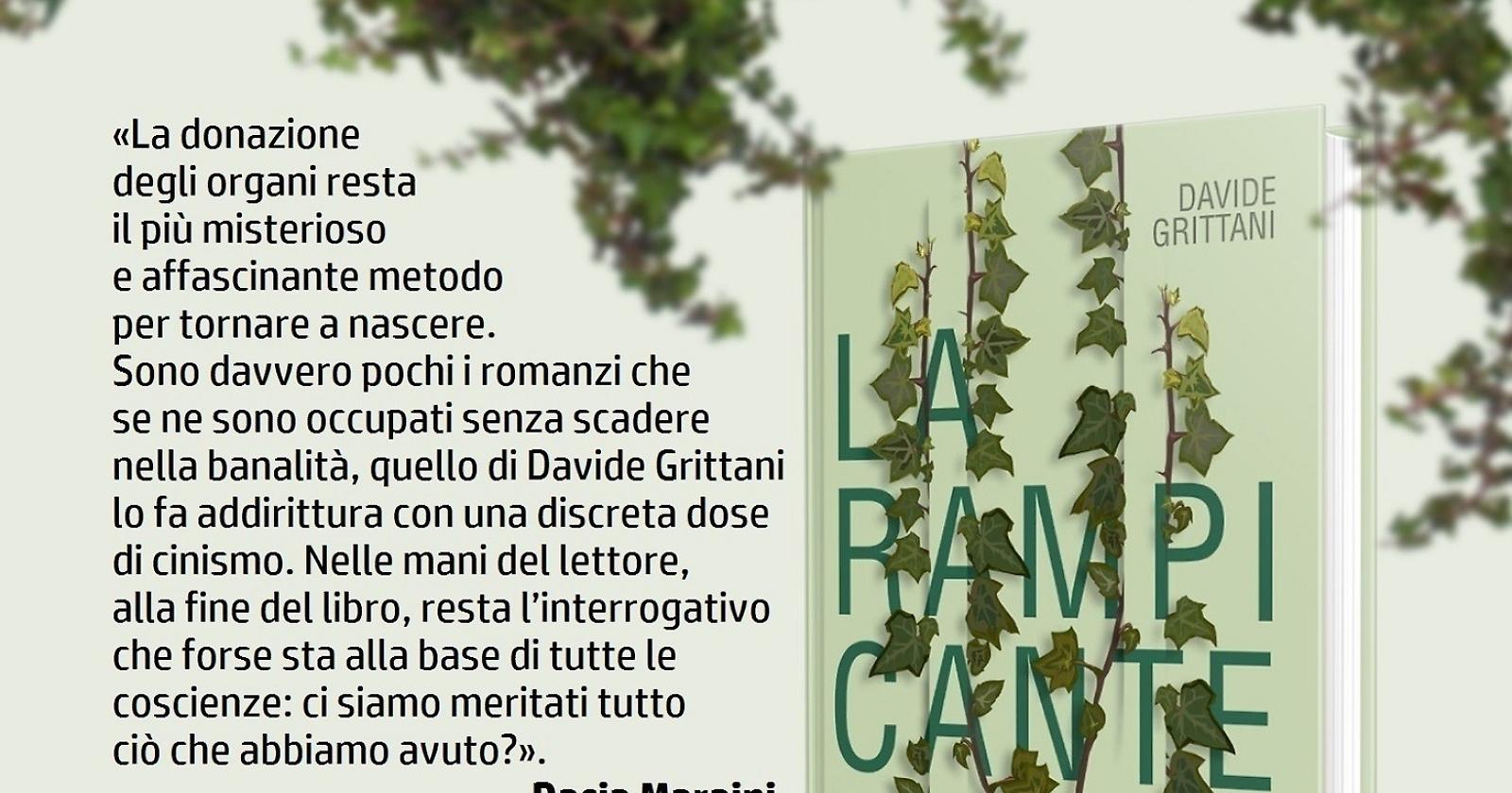 La rampicante di Grittani a Potenza 