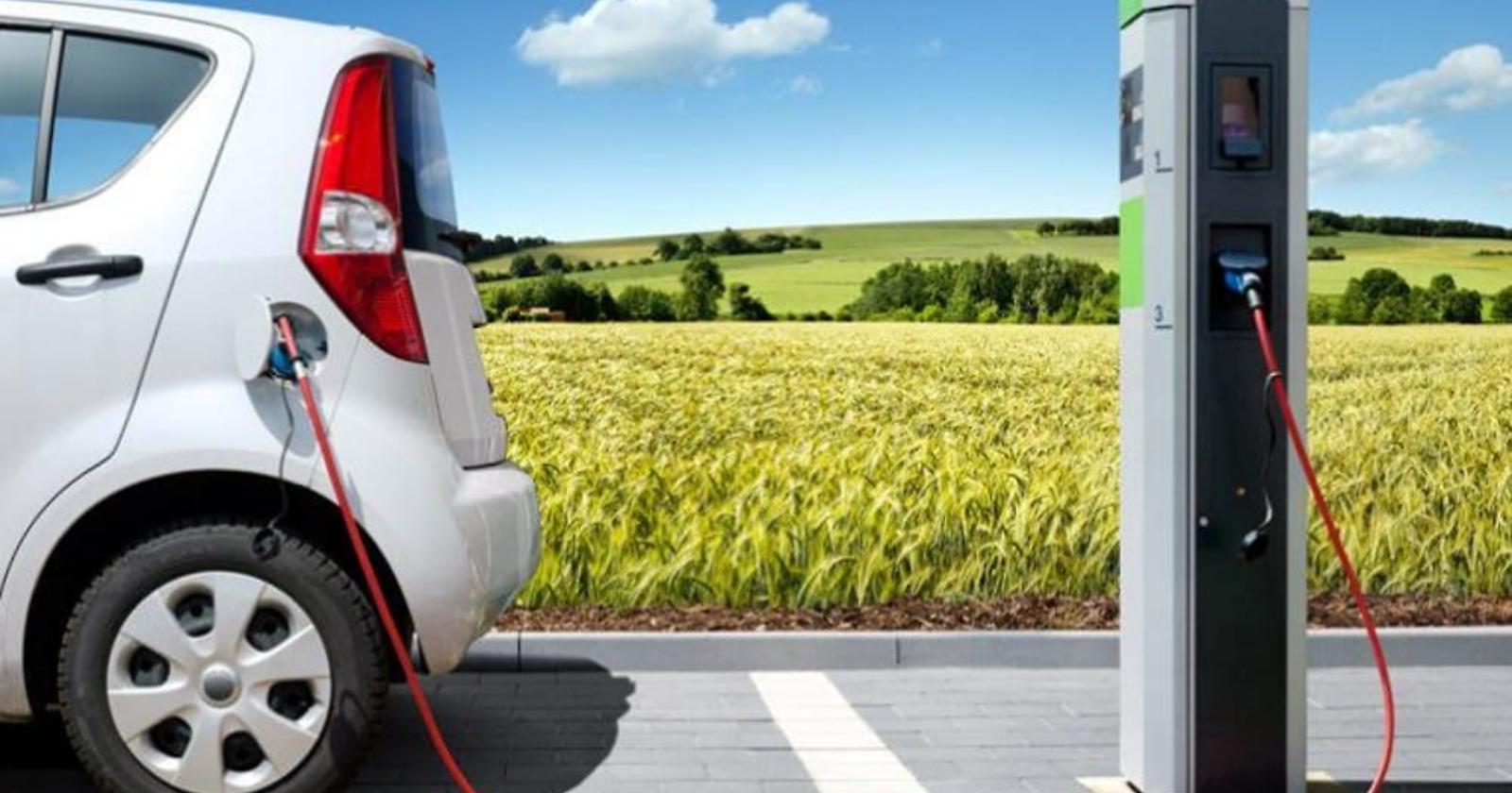 Potenza, arrivano i primi risultati dell'intesa fra Comune e Enel X: attive 11 colonnine per i veicoli elettrici