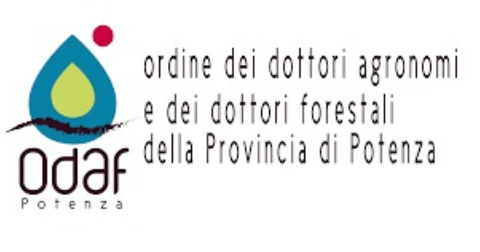 Giardino Viggiani a Potenza, presentato il progetto di riqualificazione 