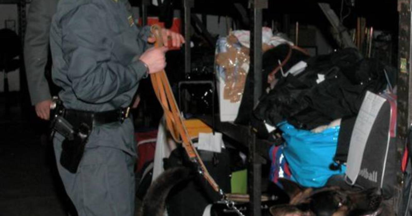 Sorpreso su un bus con 95g di marijuana, arrestato 19enne dalla squadra cinofila di Matera