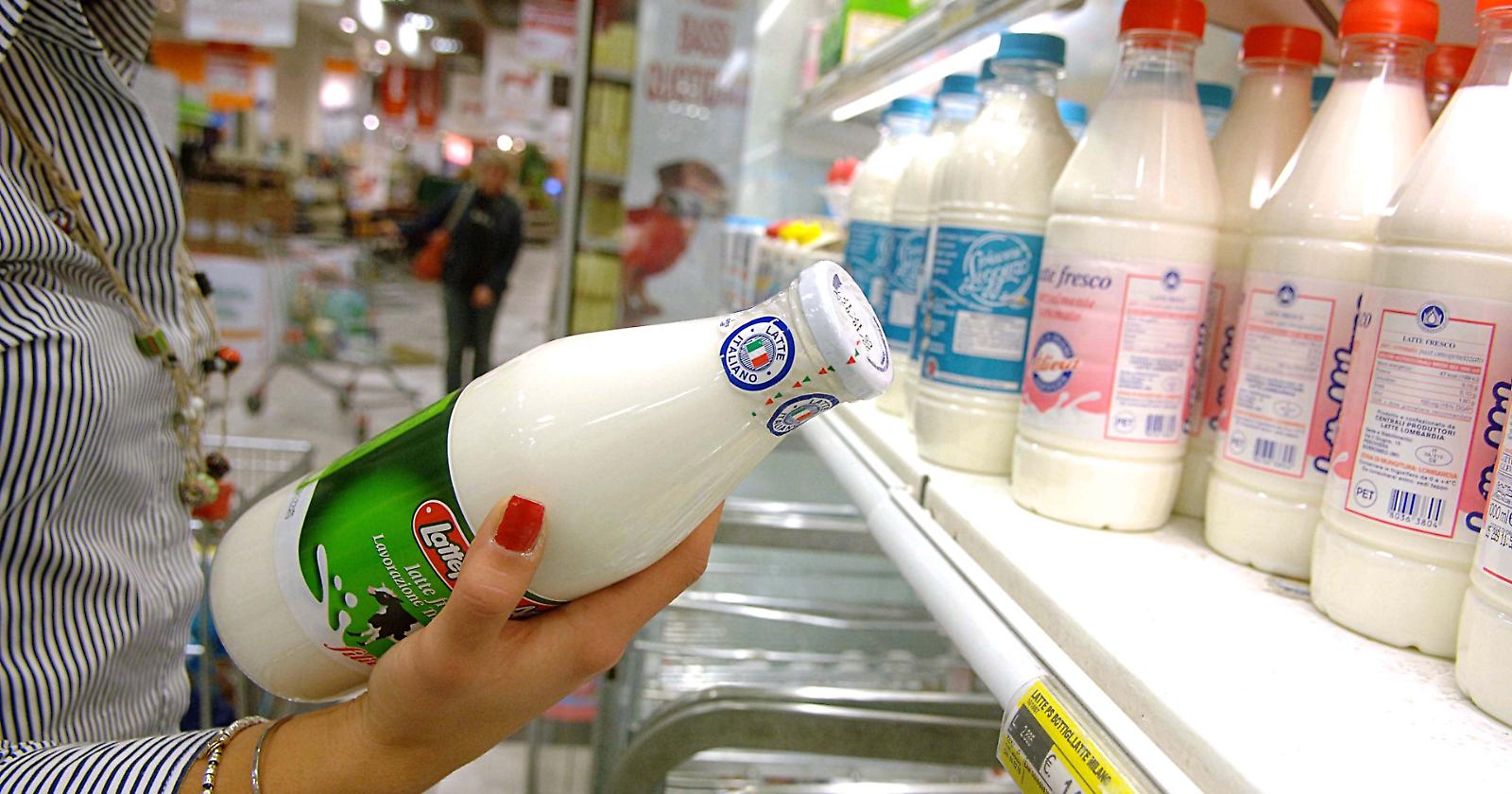 Prezzo del latte, Coldiretti: “Pastori lucani insoddisfatti”