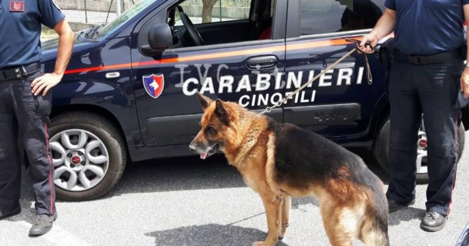 Sorpreso con eroina, hashish e una grossa somma di denaro: arrestato a Genzano