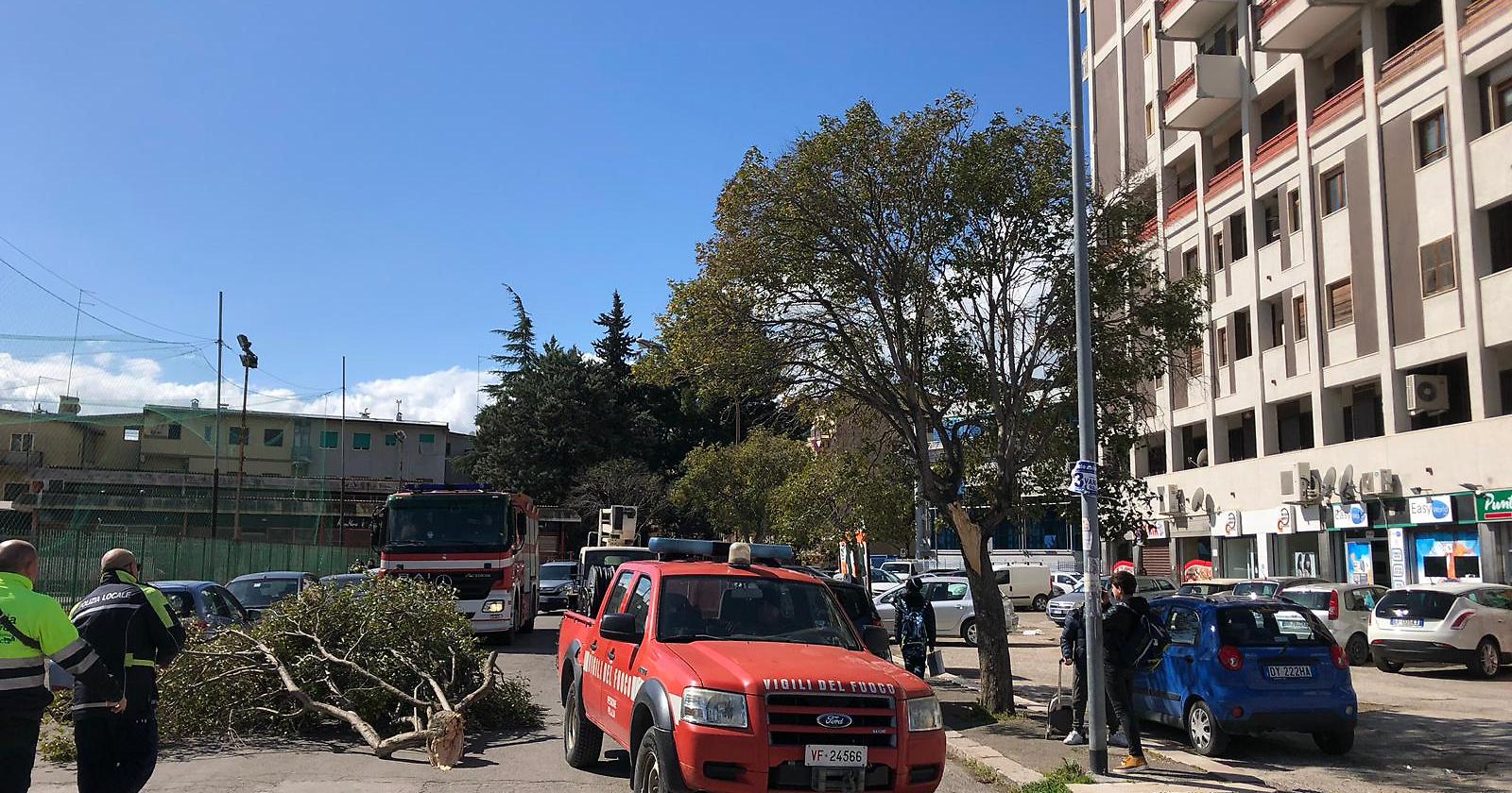 Raffiche di vento, via Mastelloni cade ramo colpisce donna
