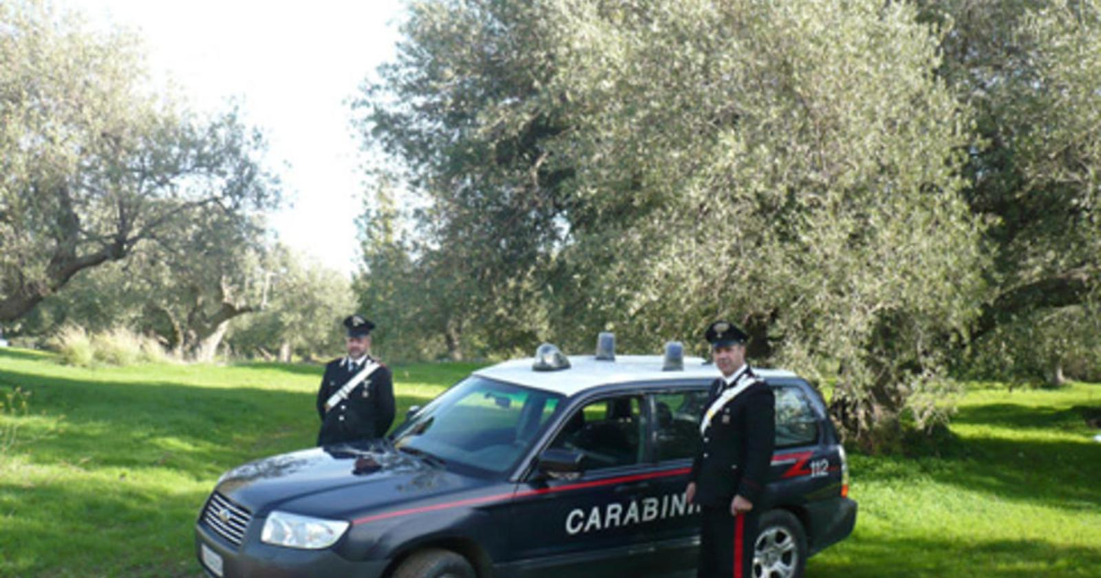 Cede carico di olive per pagare i debiti: denunciato autotrasportore 