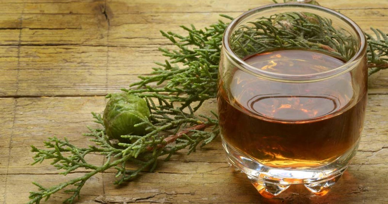 Le 32 erbe per fare un buon Amaro lucano? Parte oggi la formazione per le aziende