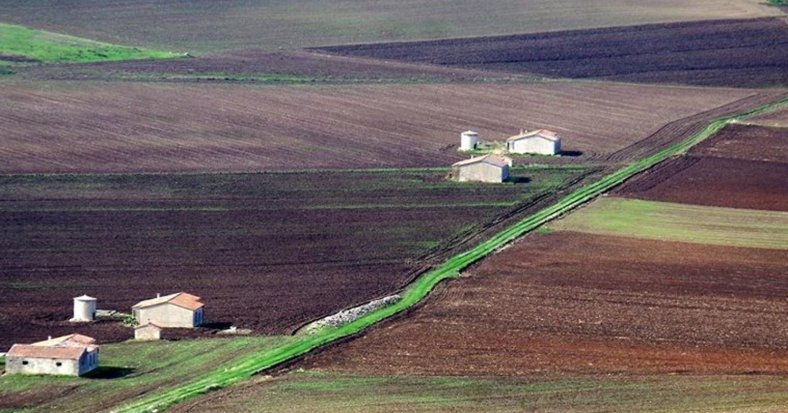 Rai 1, Linea Verde ripercorre la via Herculia dal Vulture a Grumentum