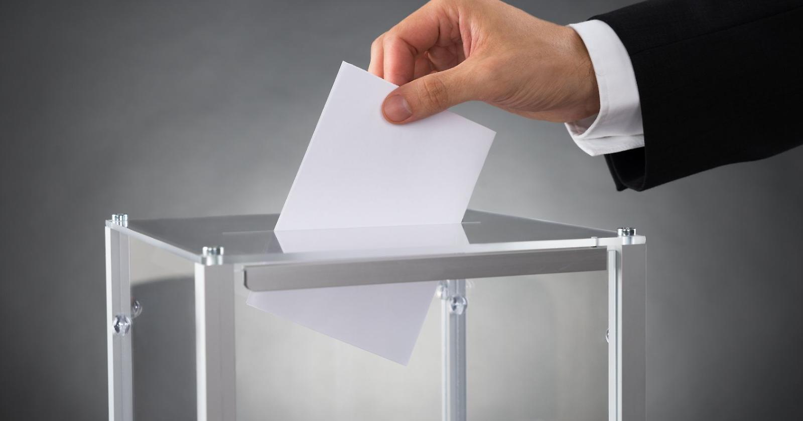 Hai scelto di candidarti? Ti votiamo!