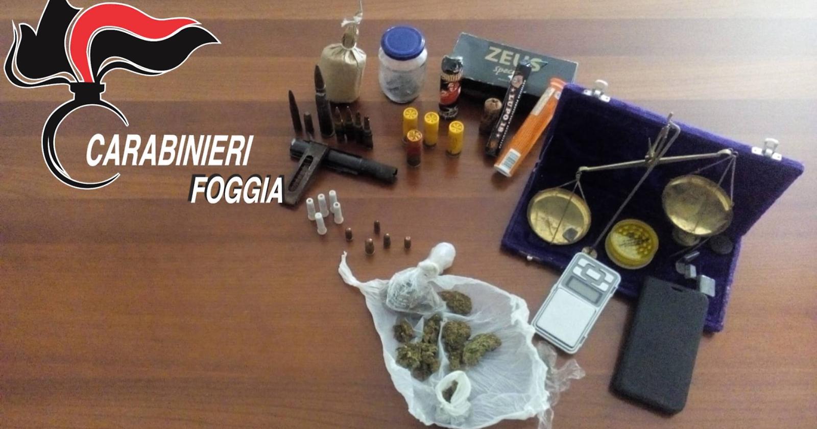 Cagnano Varano, armi e droga  tra il mangime per gli animali: arrestato 