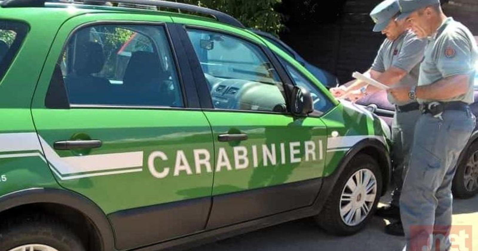 Macellazione illegale di carne equina: 240 mila euro di multe in due mesi