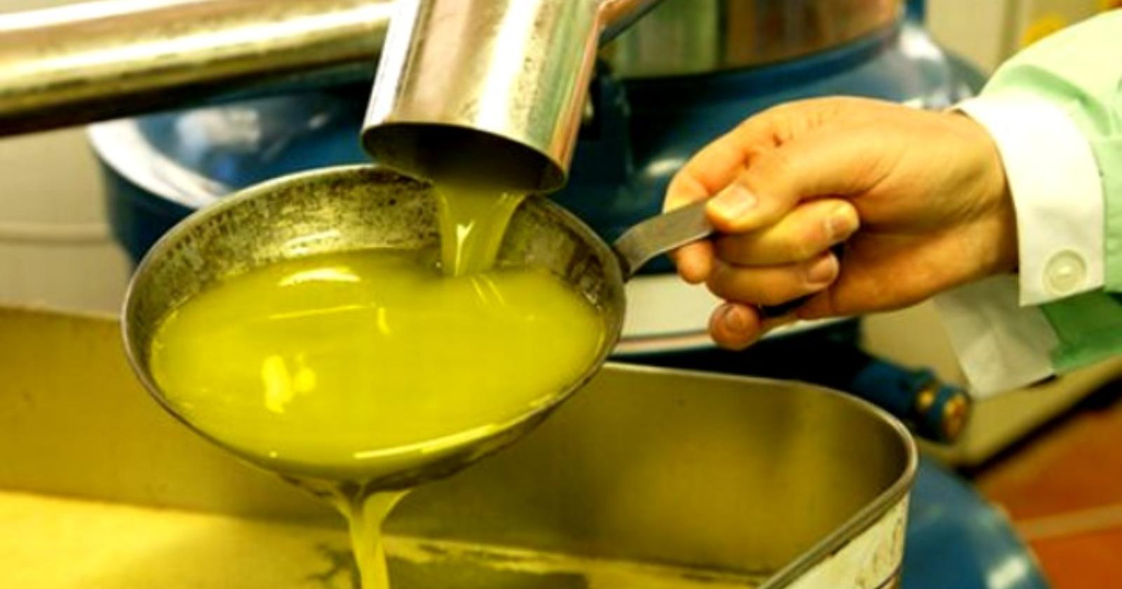 Olio di semi spacciato per olio d'oliva: 24 arresti 
