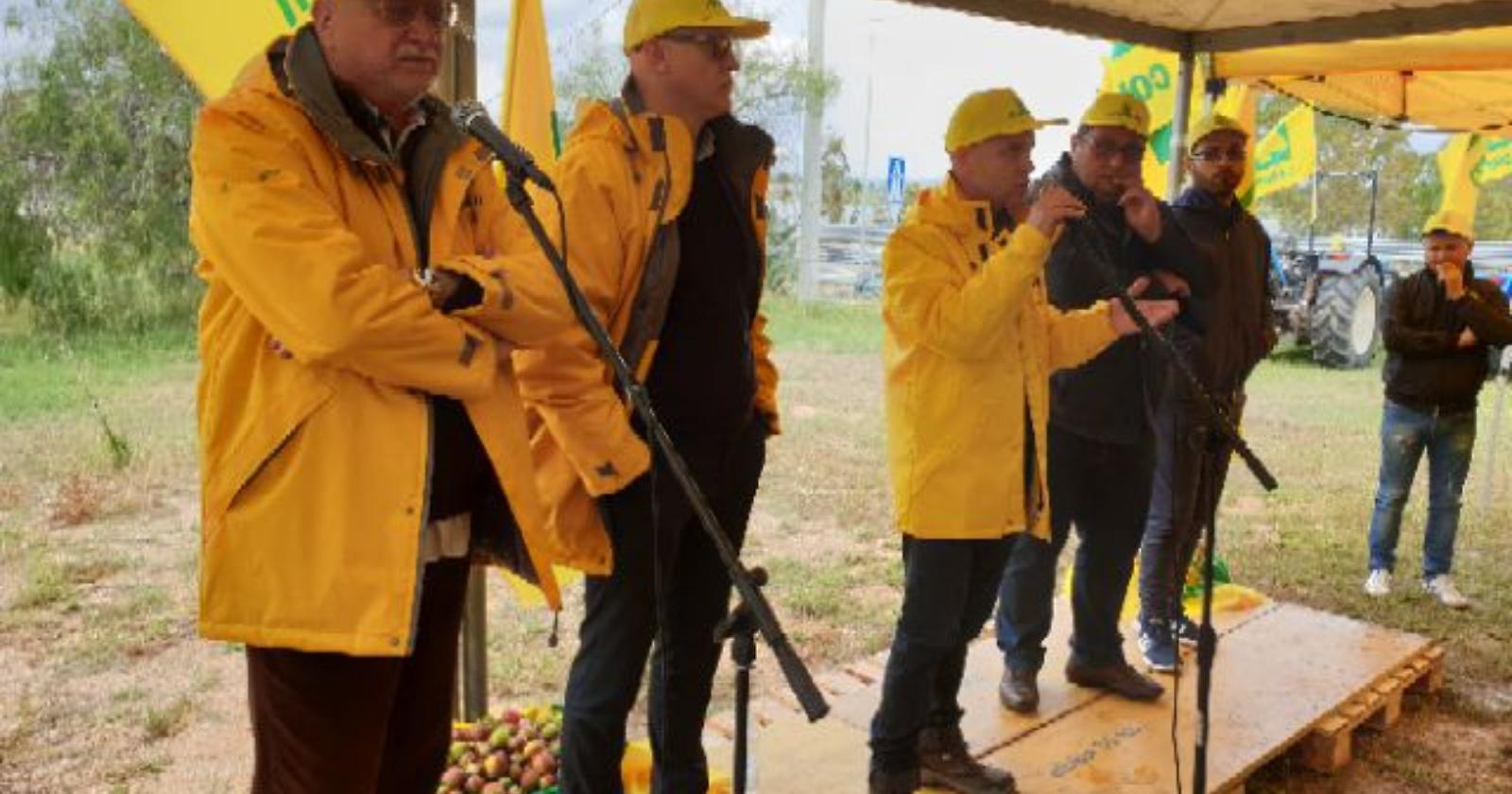 Danni da maltempo nel Metapontino, la Coldiretti chiede i risarcimenti 